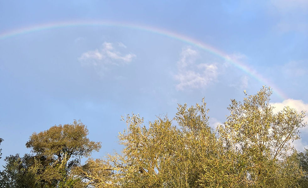 Seguro de Caça em Portugal: Tudo o que precisa de saber