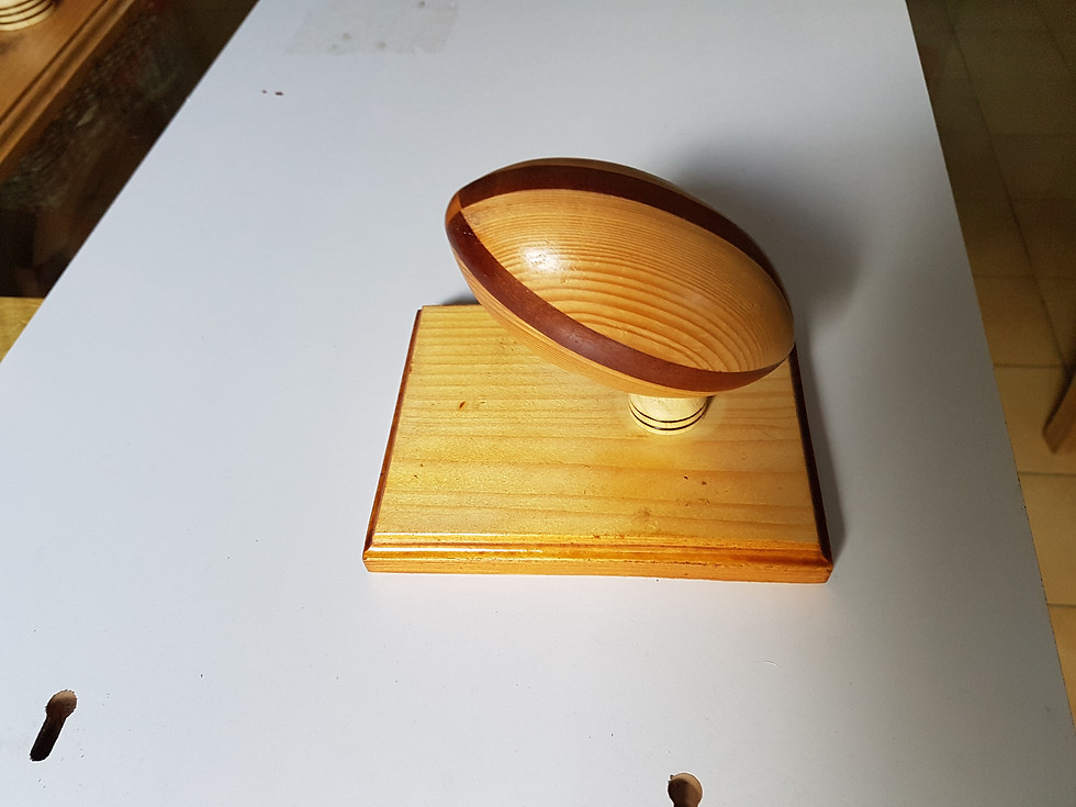 Miniature : petit ballon bicolor