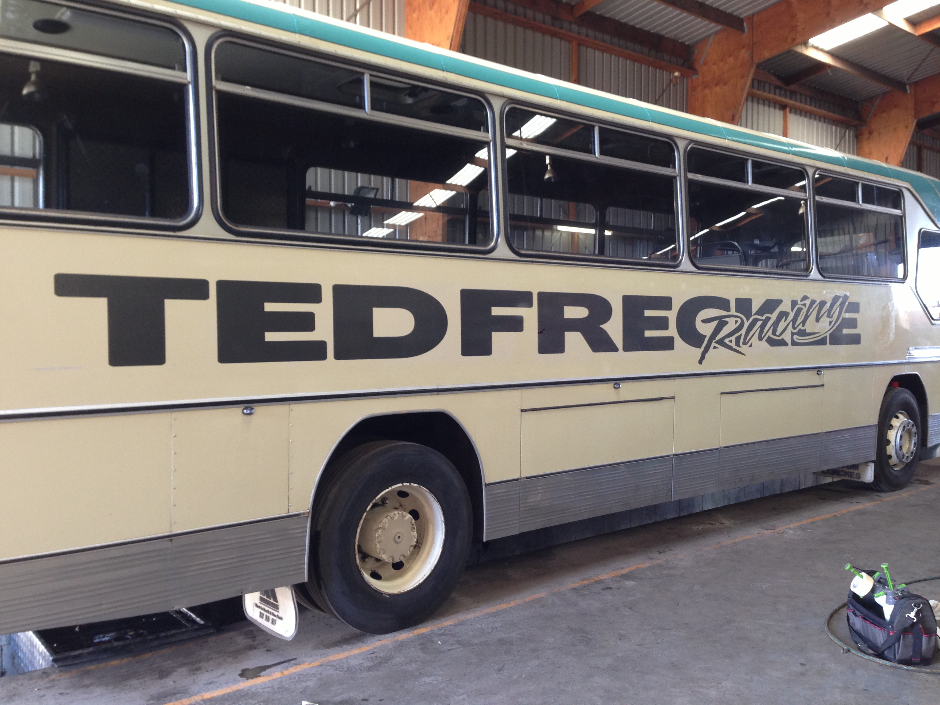 Ted Freckle