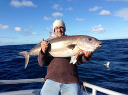 Samson fish