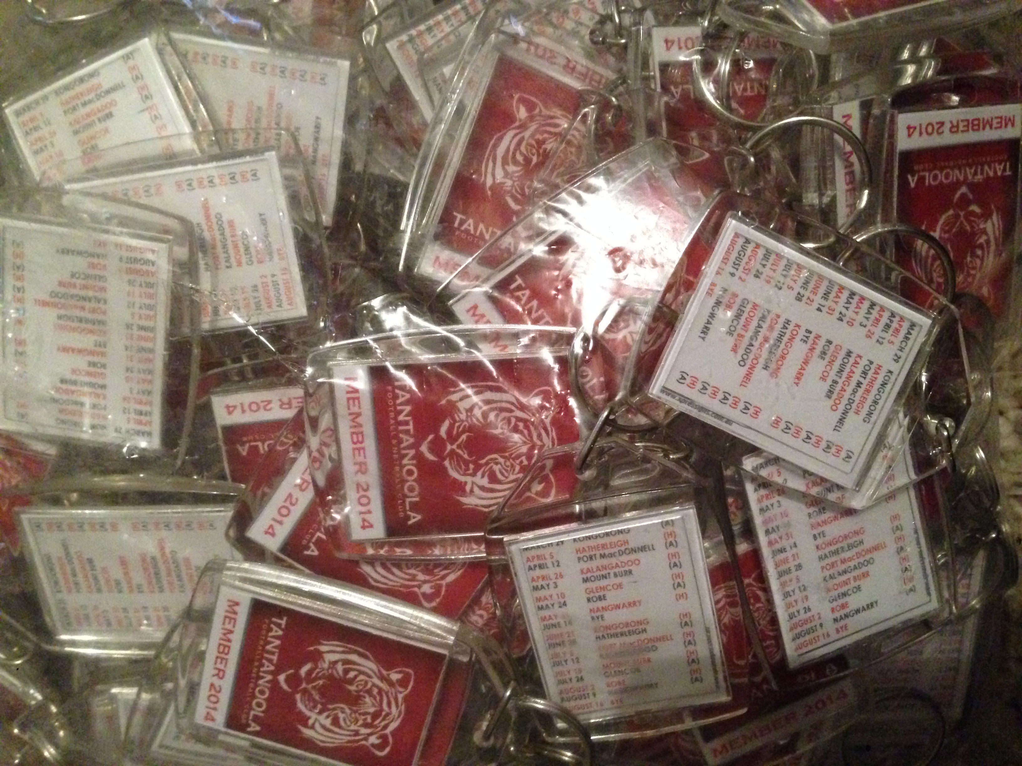 Tantanoola Key Rings