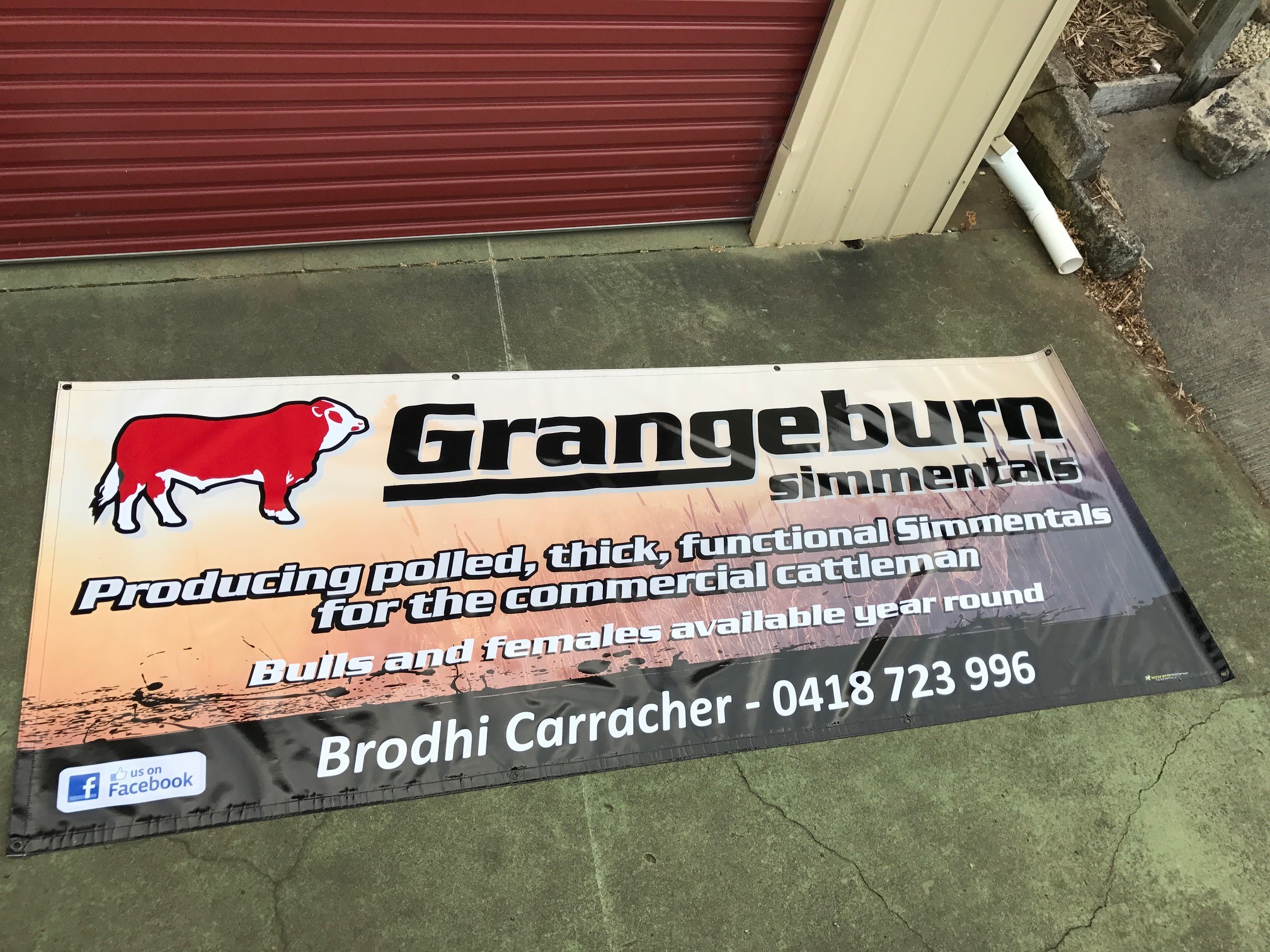 Grangeburn Simmentals Banner