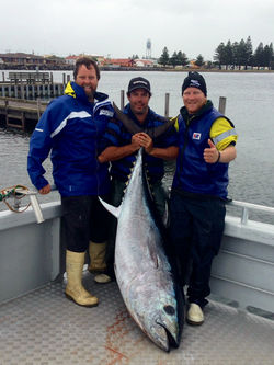 Tuna 96 Kilos
