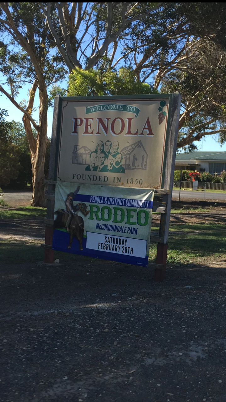 Penola Rodeo Advertising Banners