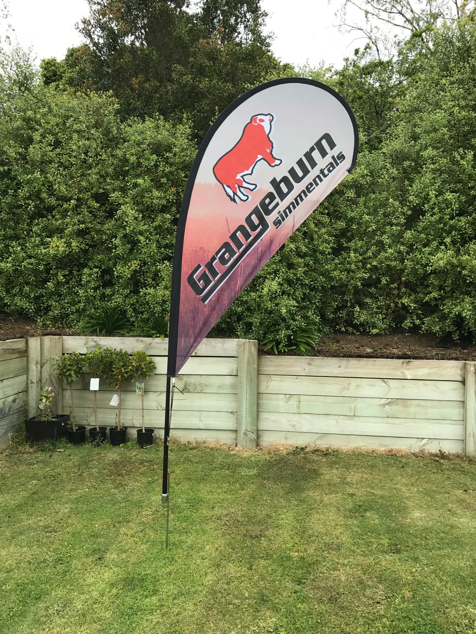 Grangeburn Simmentals Tear Drop Flag