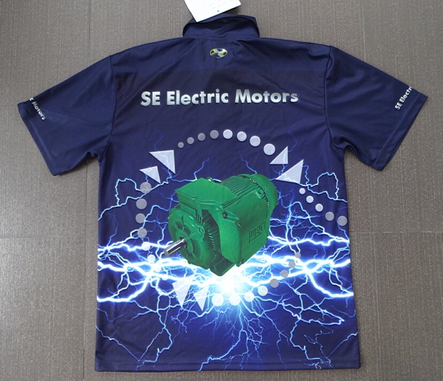 SE Electric Motor Rewinds Rear