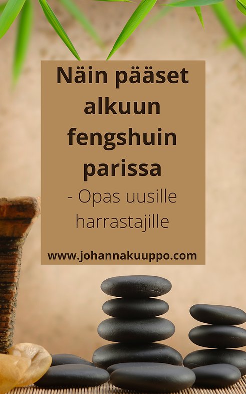 Oppaan etusivu.png
