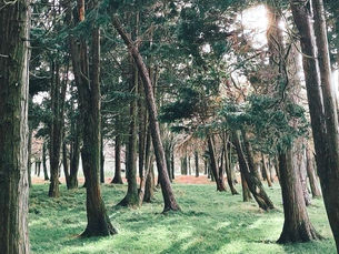 Nice to meet you again and again