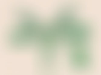 Biophilic design: the well-being that comes from nature