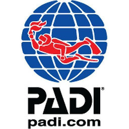 padi-logo-compressor_9b25dd31-84a4-44b7-