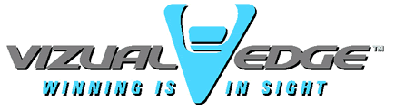 Logo_VizEdge500.gif