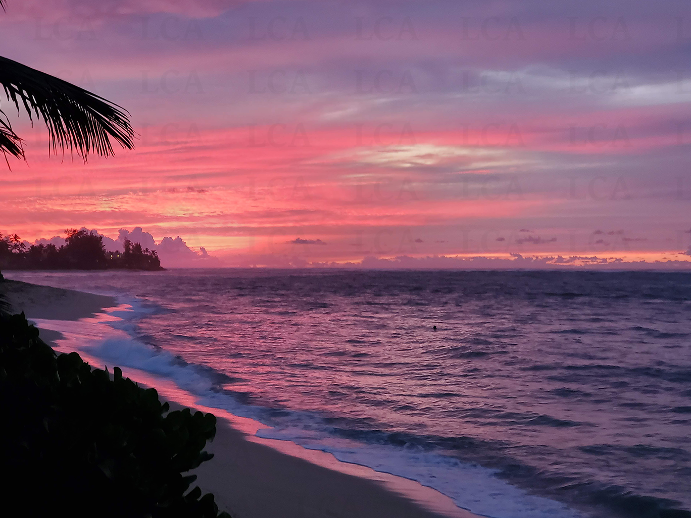 Paradise Found  (Download)