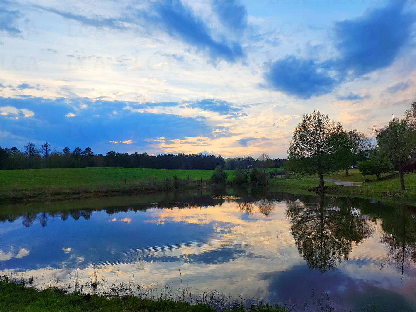 Farm Pond (Download)