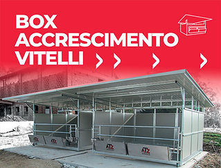 atz_box_accrescimento_vitelli_antepirma_2026_hover.jpg
