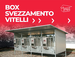 atz_box_svezzamento_vitelli_antepirma_2026_hover.jpg