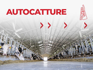 atz_autocatture_antepirma_2026.jpg