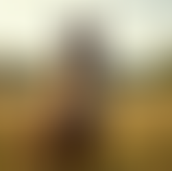 Angst vor dem eigenen Pferd? 