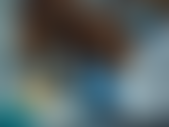 Custom Compounded Medications: Enhancing Horse Health