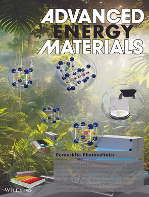 Advanced Energy Materials - 2025 - Shin Thant - Comprehensive Review on Slot‐Die‐Based Per