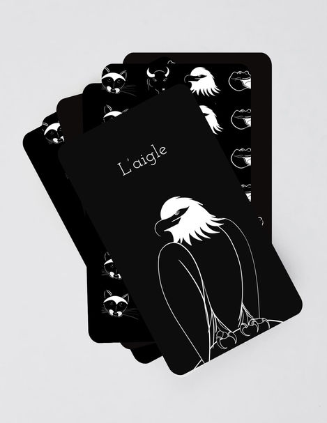 Illustration, animaux, raton laveur, bison, alligator, aigle, nature, cartes, jeu, enfants, jeu de carte, famille