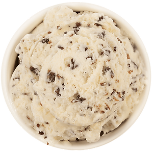 Toasted Coconut Ice cream