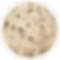 Toasted Coconut Ice cream