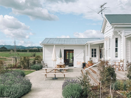 Fave Cafes in Winter 2020