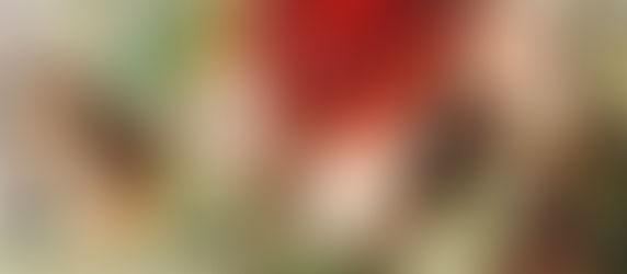 Where to eat in Wellington