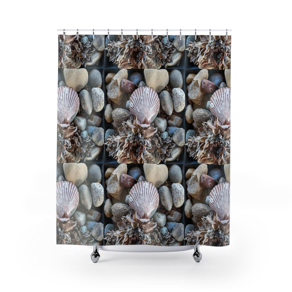 Thumbnail: seashell and rocks Shower Curtains