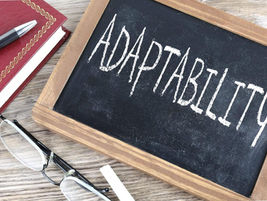 Passion, Enthusiasm & Adaptability