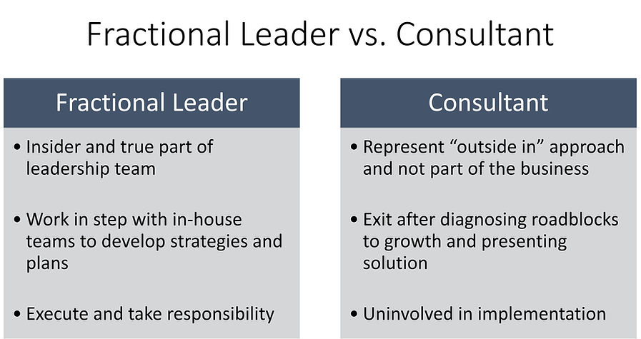 Fractional vs Consultant