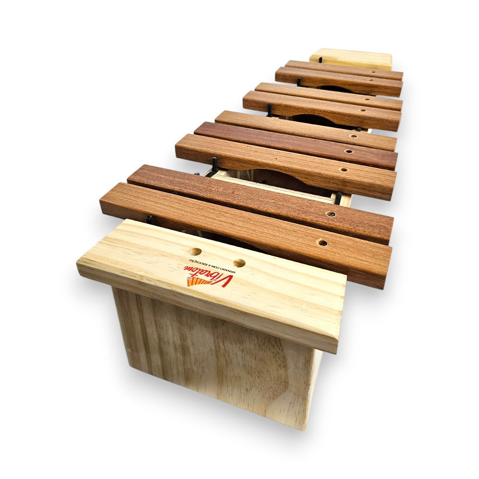 Miniatura: Xilofone Orff Soprano Sustenido 12 Teclas
