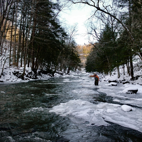 Central New York Fly Fishing Upstate New York Guided Fly Fishing
