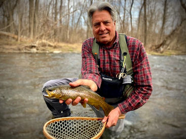 Brown trout caught fly fishing in Central New York