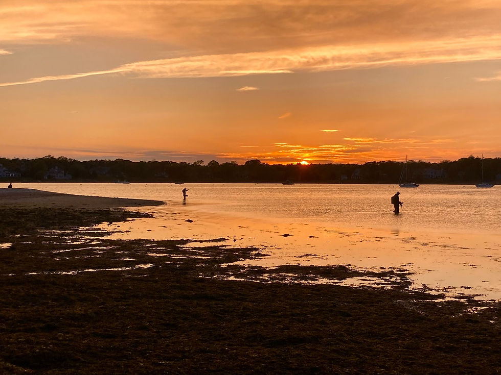 A picture of my cousin, my brother, and me fly fishing for stripers at sunset. My Wife took this photo.
