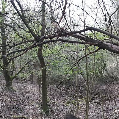 E17.jpg