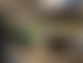 [2026] Prix du mazout en hausse en Belgique : faut-il commander maintenant à Bruxelles ?