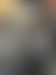 拓本ってな～に？