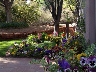 Nature’s Pomp (On Turning Fifty)