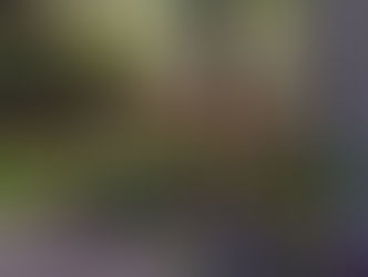 Nature’s Pomp (On Turning Fifty)