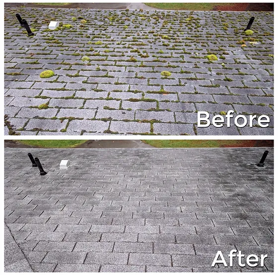 Roof Moss Removal Olympia Roof Maintenance