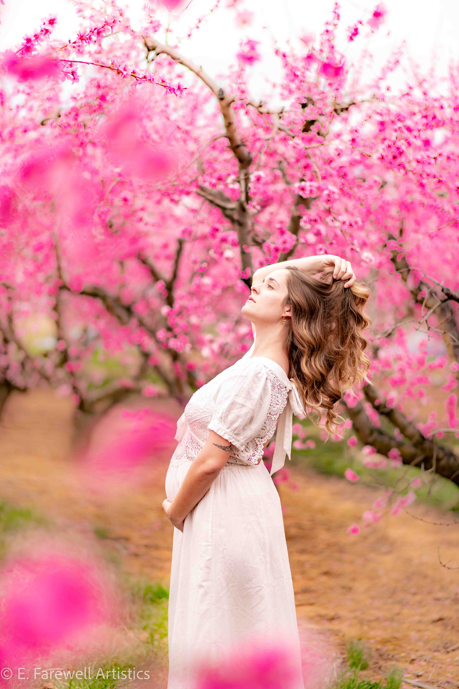 Maternity Photography in the peach blossoms at Orr's Farm Market in West Virginia by Virginia Matern