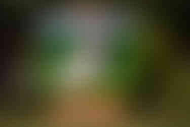 Live Wedding Painting at Stone Tower Winery in Leesburg, Virginia by Virginia Live Wedding Painting and Washington DC Live Wedding Painter Emily Farewell.