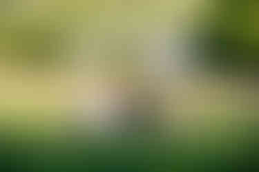 Reception Photography at Rixey Manor in Rixeyville Virginia by Virginia Photographer and Virginia Wedding Painter Emily Farewell