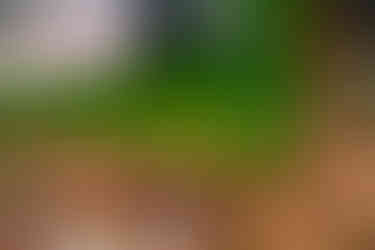 Live Wedding Painting at Stone Tower Winery in Leesburg, Virginia by Virginia Live Wedding Painting and Washington DC Live Wedding Painter Emily Farewell.