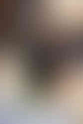 Documentary Style Wedding Photography at Trump National Golf Club in Washington DC by Winchester Virginia Wedding Photographer and Washington DC Wedding Photographer Emily Farewell