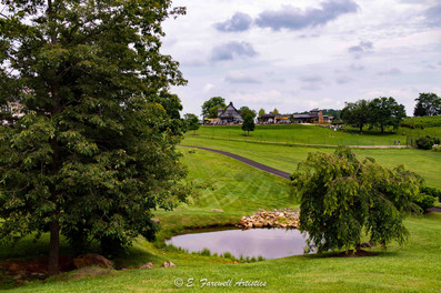 Stone Tower Winery in Leesburg, Virginia by Virginia Photographer, Emily Farewell. Winery Photography.