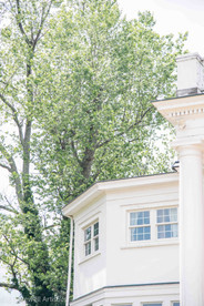 Ceremony Photography at Rixey Manor in Rixeyville Virginia by Virginia Photographer and Virginia Wedding Painter Emily Farewell