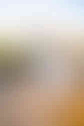 Documentary Style Wedding Photography at Trump National Golf Club in Washington DC by Winchester Virginia Wedding Photographer and Washington DC Wedding Photographer Emily Farewell