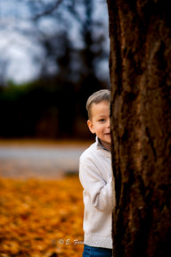 Fall Family Photography at the Ginkgo Grove in Blandy Experimental Farm in Boyce Virginia by Virginia Family Photography Emily Farewell and Maryland Family Photographer Emily Farewell.